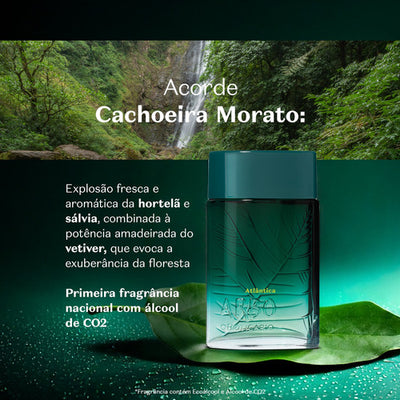 Arbo Atlântica Colônia 100ml